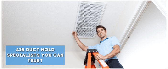 Air Duct Mold Removal in Joliet IL