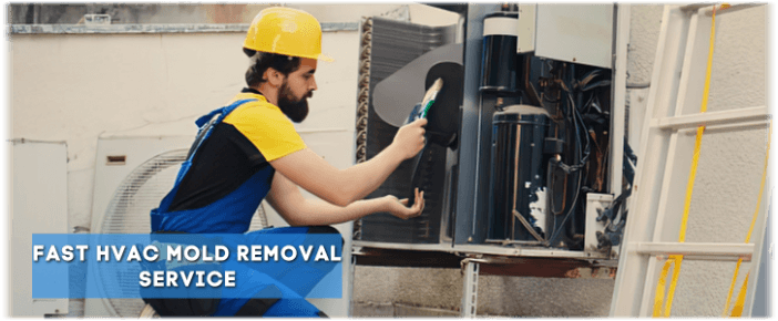 HVAC Mold Removal Joliet IL